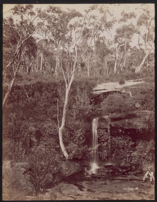 Man seated on a rock near the Fairy Falls, Lawson [picture] / C. Bayliss