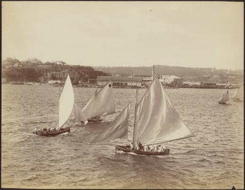 Sailing on the harbour, Sydney, ca. 1880 [picture] / C. Bayliss