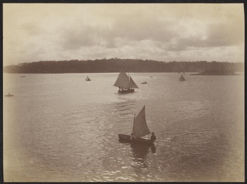 Sydney Harbour from Cove, ca. 1880 [picture] / C. Bayliss