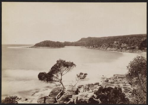 Cabbage Tree Bay, Manly, New South Wales, ca. 1880 [picture] / C. Bayliss