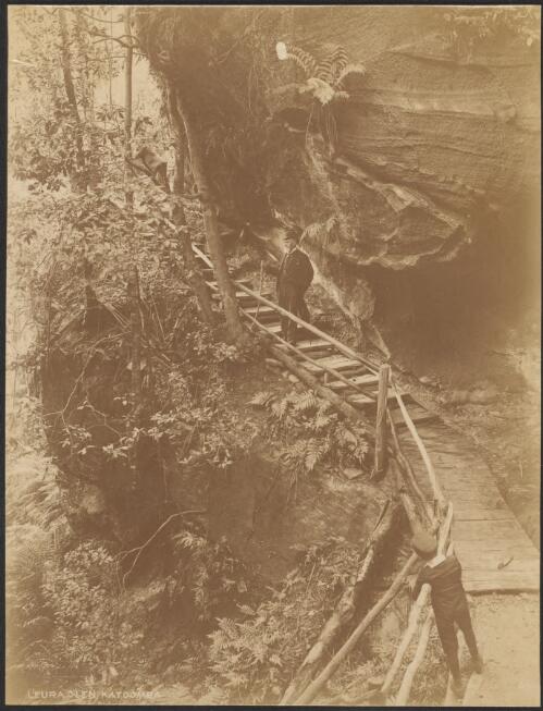 Steps at Leura Glen, Katoomba, New South Wales [picture] / C. Bayliss