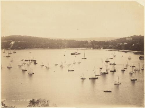 Aquatic fete, Double Bay, New South Wales [picture] / C. Bayliss