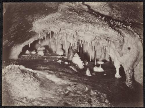 The Garden Palace, Jenolan Caves, New South Wales [picture] / C. Bayliss