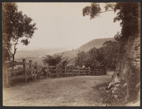Bulli Pass, New South Wales, ca. 1885 [picture] / Charles Bayliss