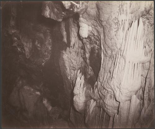 Cave interior, Jenolan Caves, New South Wales, [1] [picture] / C. Bayliss