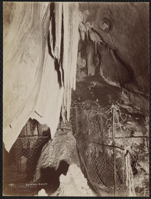 Shawl Cave, Jenolan Caves, New South Wales [picture] / C. Bayliss