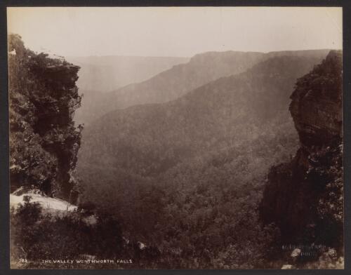 The Valley, Wentworth Falls, New South Wales, ca. 1880 [picture] / C. Bayliss