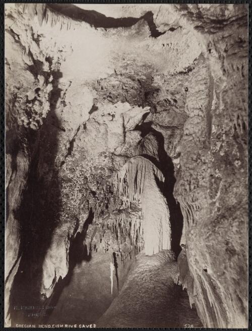Grecian Bend, Jenolan Caves, New South Wales [picture] / C. Bayliss