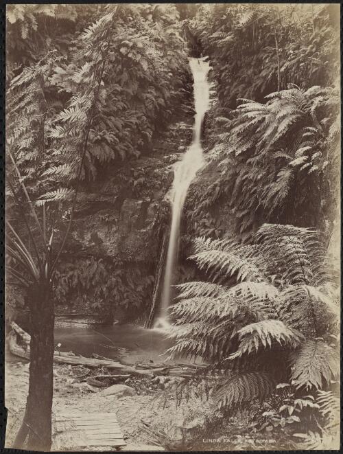 Linda Falls, Katoomba, New South Wales [picture] / C. Bayliss
