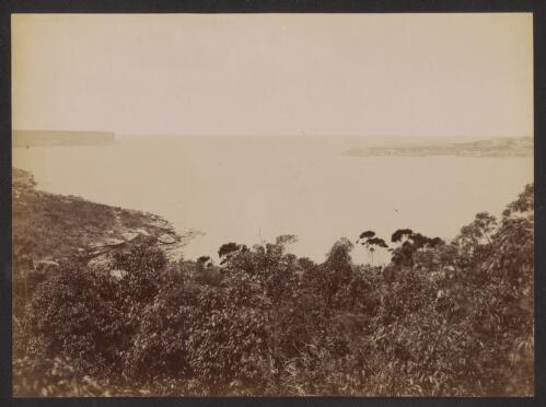 Entrance to Port Jackson, New South Wales, ca. 1885 [picture] / Charles Bayliss