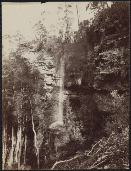 The Cascade, Katoomba, New South Wales [picture] / C. Bayliss