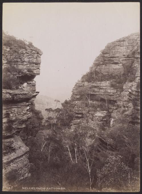 Nellies Glen, Katoomba, New South Wales, ca. 1880 [picture] / C. Bayliss