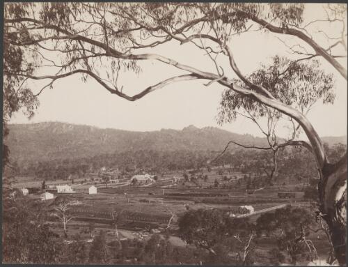 Tarana, New South Wales, ca. 1875 [picture] / Charles Bayliss