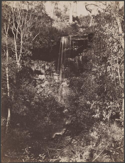 Christabel Falls?, Leura Region, New South Wales, ca. 1875 [picture] / Charles Bayliss