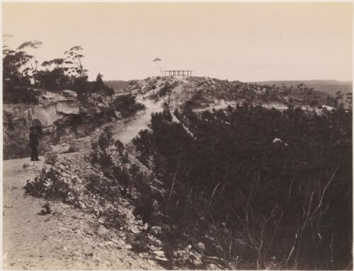 Mount Piddington, New South Wales, ca. 1885 [picture] / Charles Bayliss