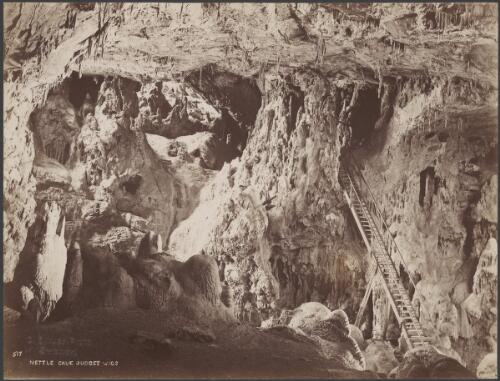 Nettle Cave and Judges Wigs, Jenolan Caves, New South Wales, ca. 1888 [picture] / Charles Bayliss