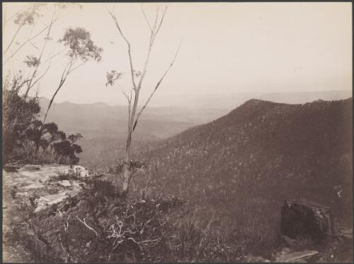Johnson's lookout from Victoria Pass, Blue Mountains, New South Wales, ca. 1885 [picture] / Charles Bayliss