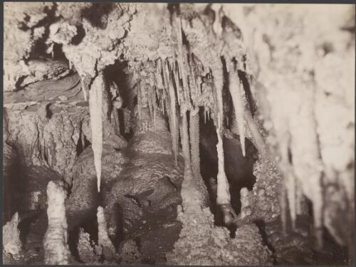 Lolly Cave or Coral Grotto, Jenolan Caves, New South Wales, ca. 1885 [picture] / Charles Bayliss