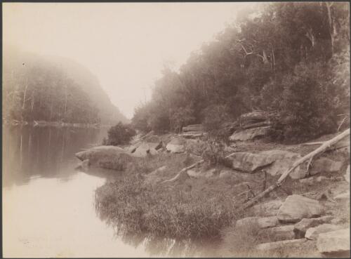 From Breakfast Creek, Nepean River, Blue Mountains, New South Wales, ca. 1885 [picture] / Charles Bayliss