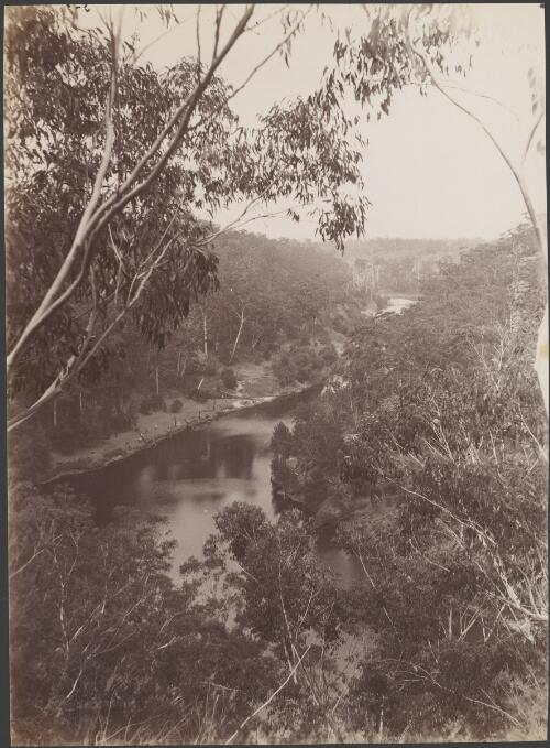 Nepean River near Pheasants Nest, New South Wales, ca. 1885 [picture] / Charles Bayliss