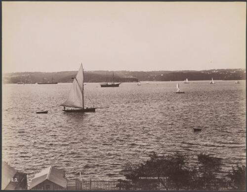 From Darling Point, New South Wales, ca. 1885, 2 [picture] / Charles Bayliss