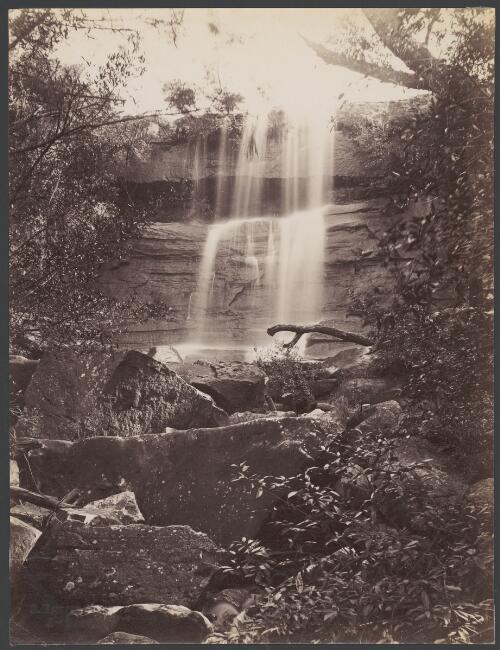 Willoughby Falls, North Shore, Sydney, New South Wales, ca. 1885 [picture] / Charles Bayliss