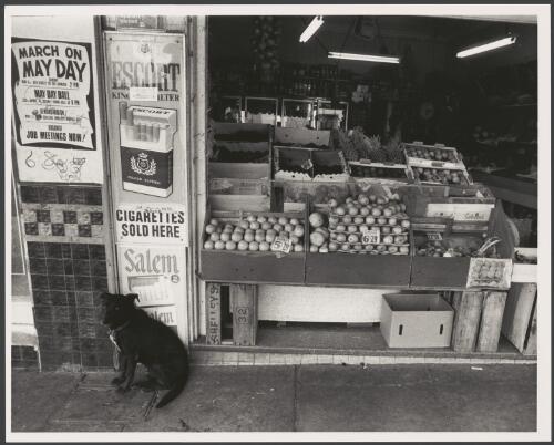 Fruit and vegetable market shopfront and cigarette advertisements on left, Oxford Street, Sydney, 1974 [picture] / Greg Battye