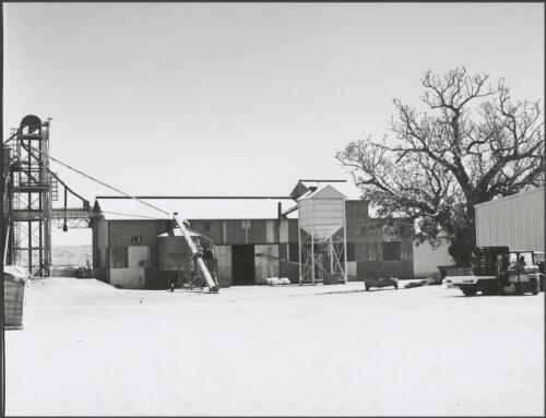 Original cotton mill, Kununurra. 1994 [picture] / Reg Alder