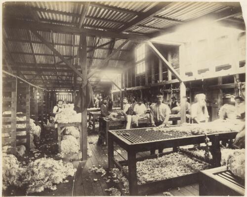Interior of the wool room, Canonbar Station, Nyngan Region, New South Wales. ca. 1900 [picture] / Kerry