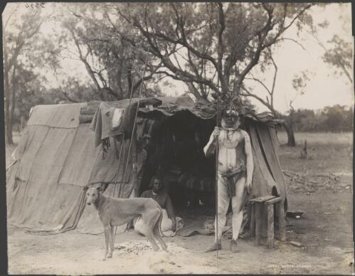 Billie, King of the Macquarie, an Aboriginal women sitting in a tent and a dog, New South Wales? [picture] / Charles Kerry