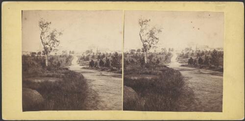 Fitzroy Gardens, Melbourne, 1870 [picture] / Alfred Morris