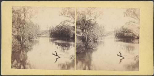 The Yarra River, Melbourne, 1870 [picture] / Alfred Morris