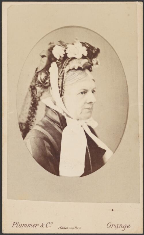 Portrait of a woman wearing decorative hat, 1882 [picture]