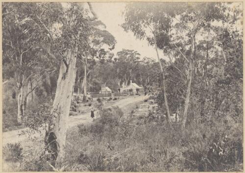 Woman standing on driveway with a cottage in the background, near Helensburgh, New South Wales, ca. 1900 [picture] / Charles Bennett