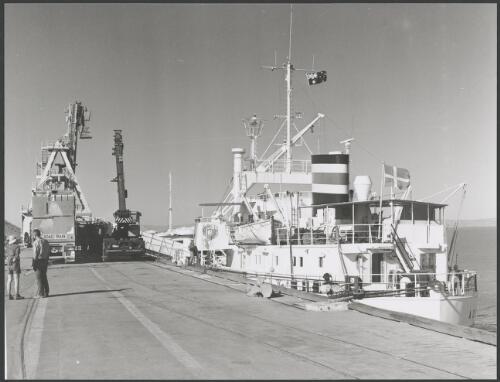 'Adele' cattle ship, Port Wyndham. 1994 [picture] / Reg Alder