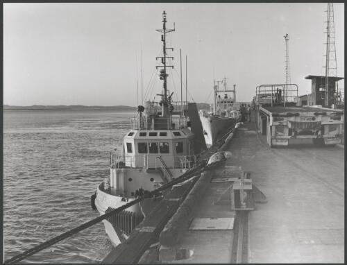 'Miclyn Achiever' (research ship) and 'Christina' (cattle ship) , Port Wyndham. 1994 [picture] / Reg Alder