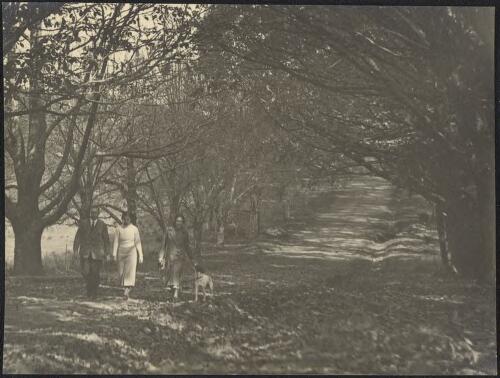 William and Mary Blaxland with Mrs Ann Heath walking along tree shaded lane [picture] / H.D. Dircks
