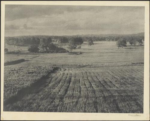 Cultivated fields [picture] / H.D. Dircks
