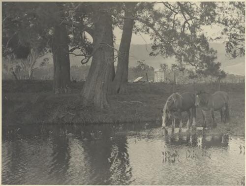 Two horses by a stream [picture] / H.D. Dircks