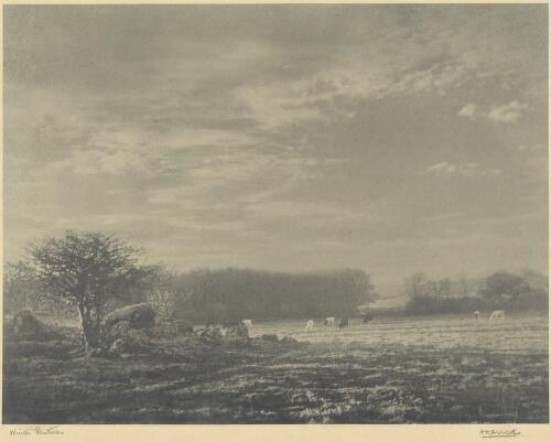 Winter pastures [picture] / H.D. Dircks