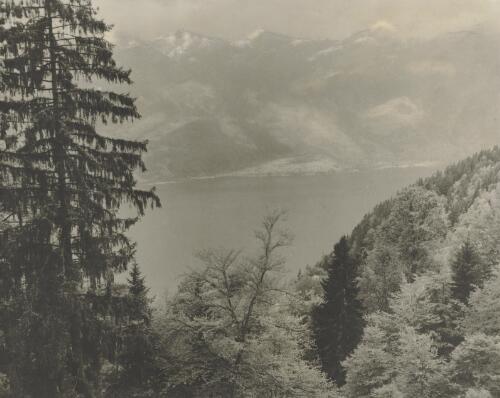 Lake Thun, Switzerland 1961 [picture] / N.C. Deck
