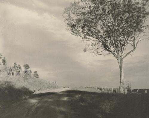 Road in Megalong Valley [picture] / N.C. Deck