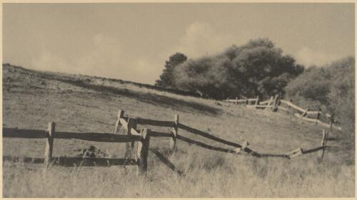 Broken fence, Victoria / John B. Eaton