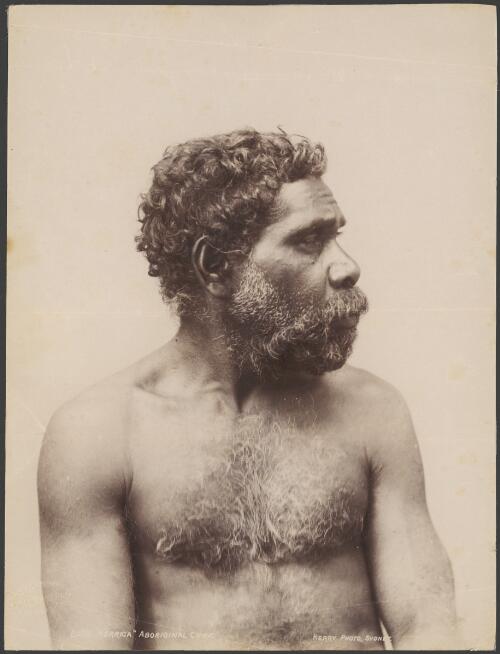 Nerriga, Aboriginal Australian chief [picture] / Charles H. Kerry