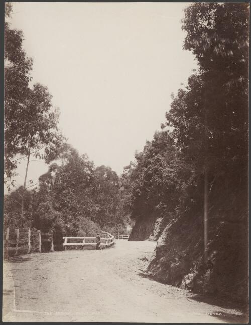 The Spring, Bulli Pass, New South Wales [picture] / Charles H. Kerry