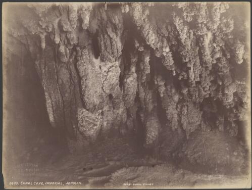 Coral Cave, part of the Imperial Cave, Jenolan Caves, New South Wales [picture] / [Charles H. Kerry]