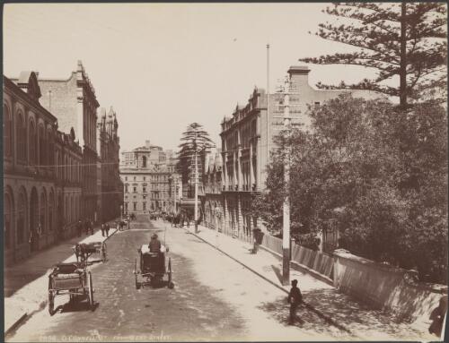 Horse-drawn carriages along O'Connell Street from Bent Street, Sydney [picture] / Charles Kerry