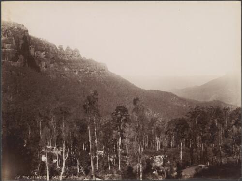 In the Jamison Valley, Blue Mountains, New South Wales [picture] / Charles Kerry