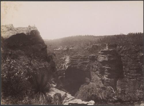 Cliff, Wentworth Falls, Blue Mountains, New South Wales [picture] / Charles Kerry