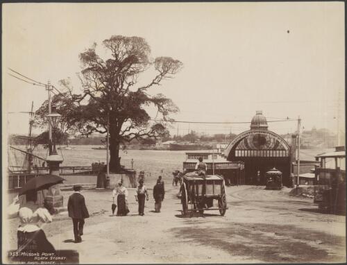Milson's Point Ferry Terminal, North Sydney, New South Wales, 1890s? [picture] / Charles Kerry